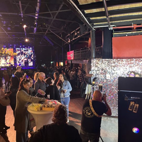 קיר צילום פייטים, קיר צילום נצנץ, קיר צילום לבת מצווה, קיר צילום לבר מצווה, קיר צילום לחתונה